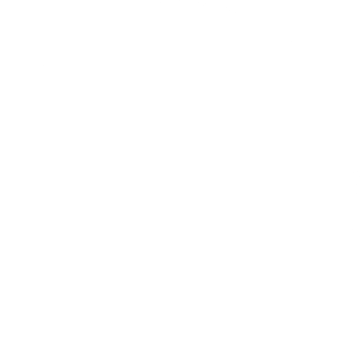 compass (1)